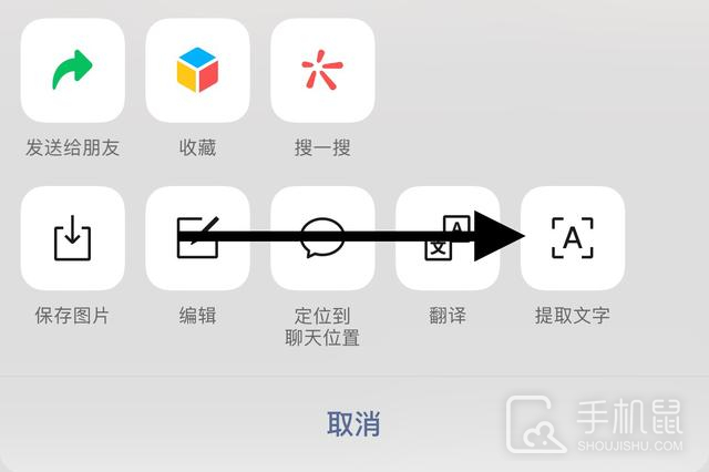 ipad10提取图中文字教程插图6