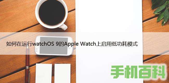 如何在运行watchOS 9的Apple Watch上启用低功耗模式插图
